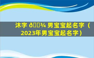 沐字 🌾 男宝宝起名字（2023年男宝宝起名字）